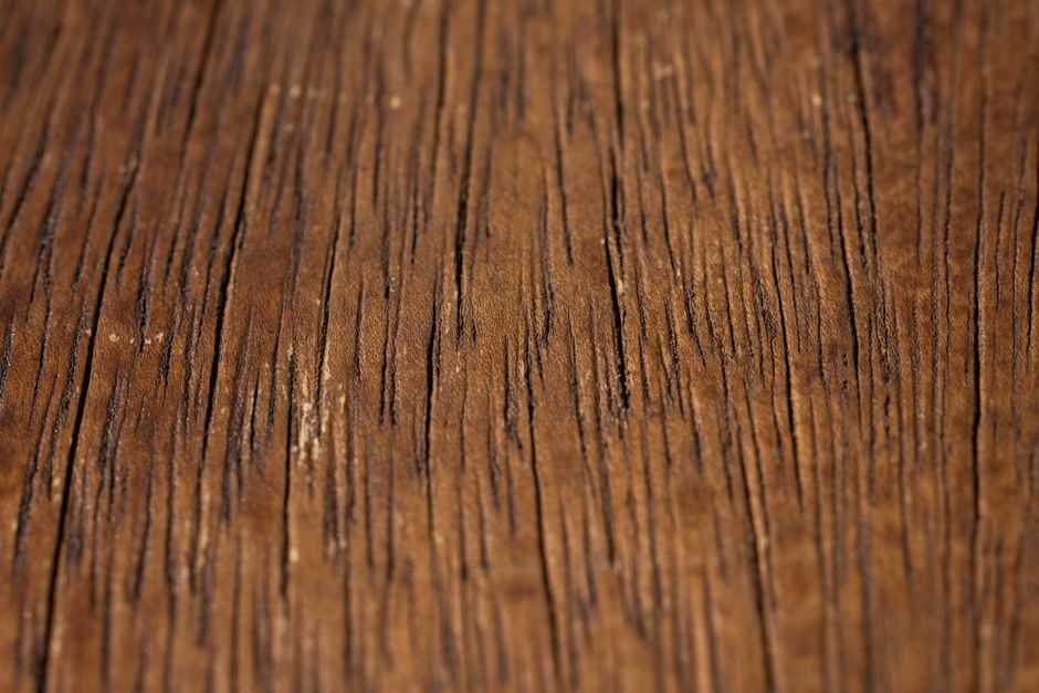 Detail dyhy z amerického orecha